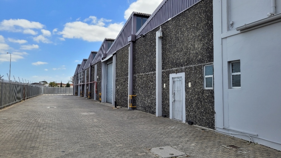 To Let Commercial Property for Rent in Epping Industrial Western Cape